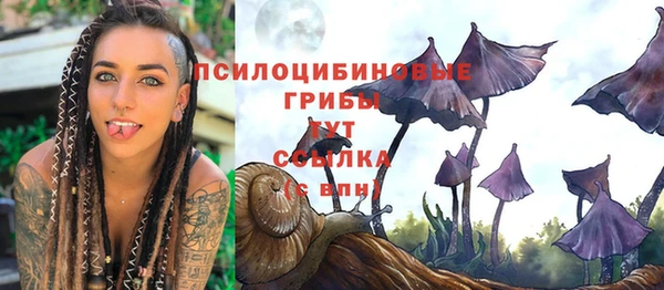 гидропоника Инсар