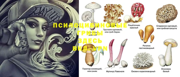гидропоника Инсар