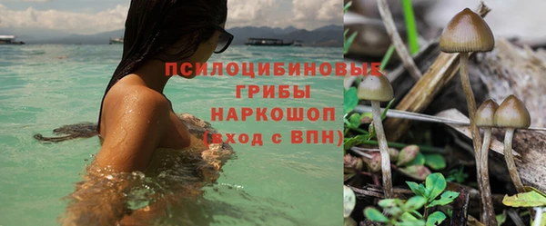 гидропоника Инсар